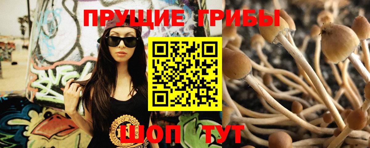 Добрянка  Псилоцибиновые грибы GOLDEN TEACHER  Вход с VPN 